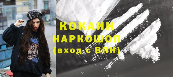 соль ск Богородицк