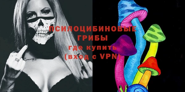 амф Богданович
