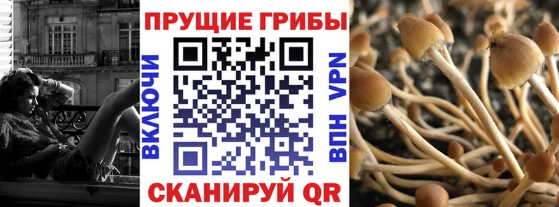 ссылка на мегу онион Реж Галлюциногенные грибы мицелий